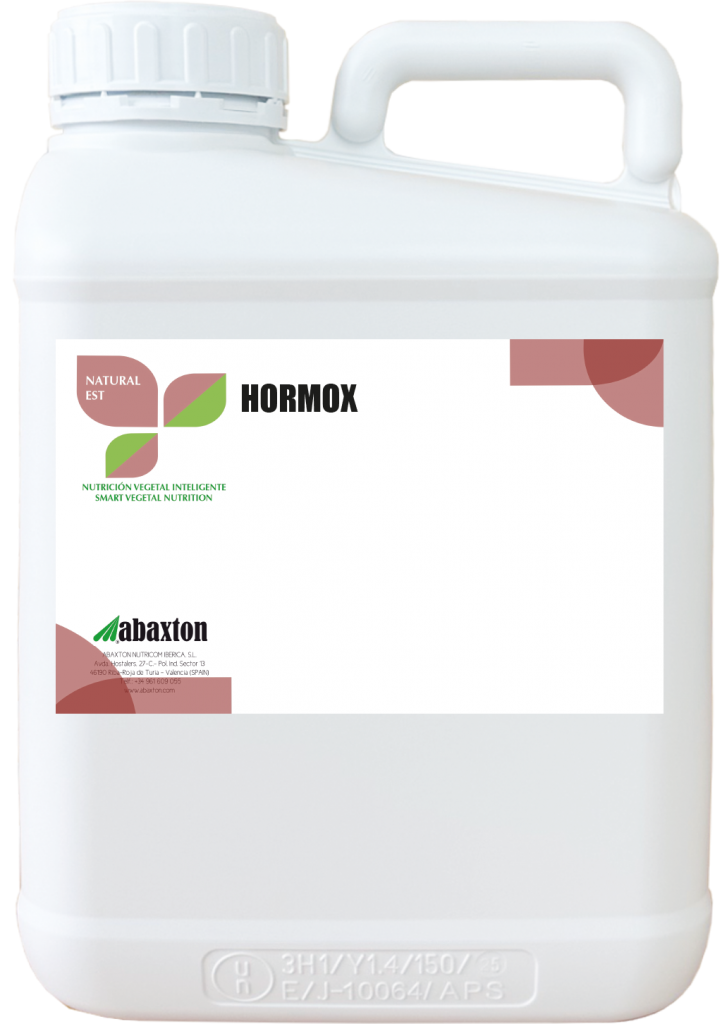 Hormox