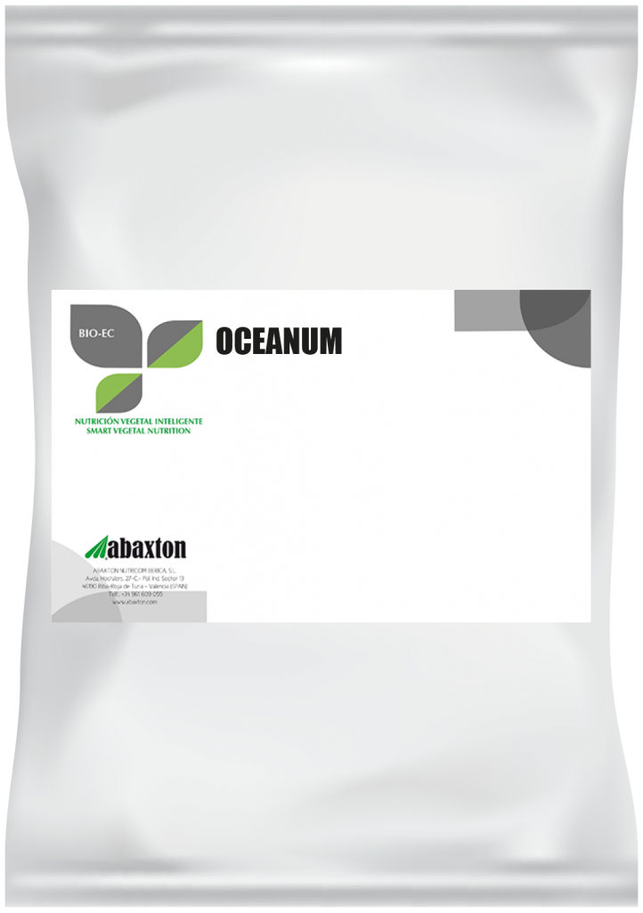 Oceanum