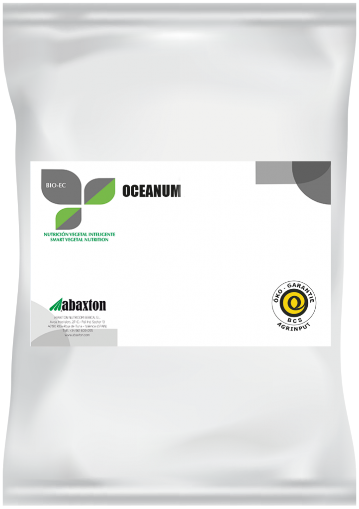 Oceanum®