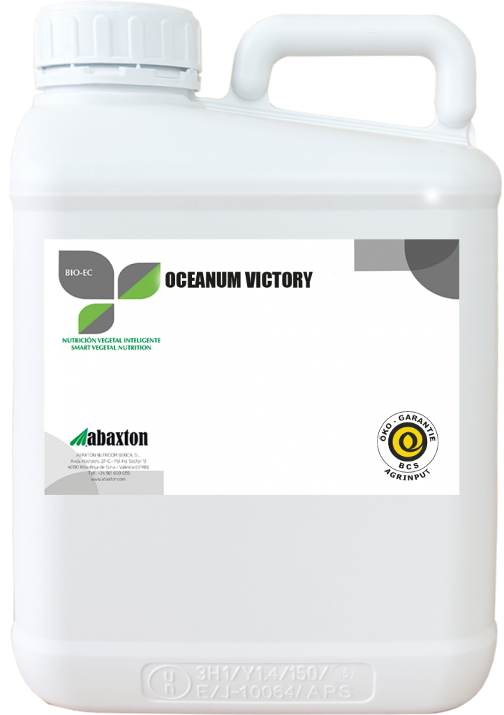 Oceanum Victory