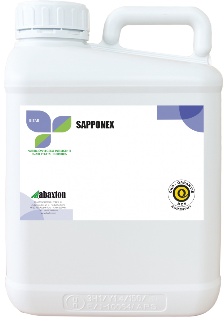 Sapponex