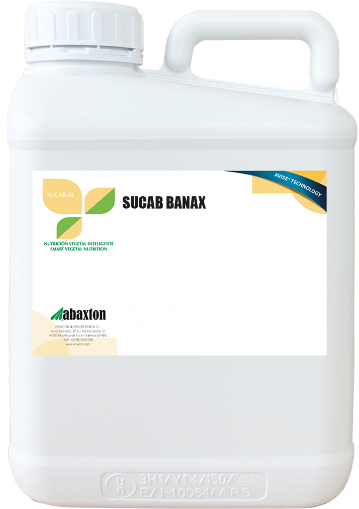 Sucab Banax