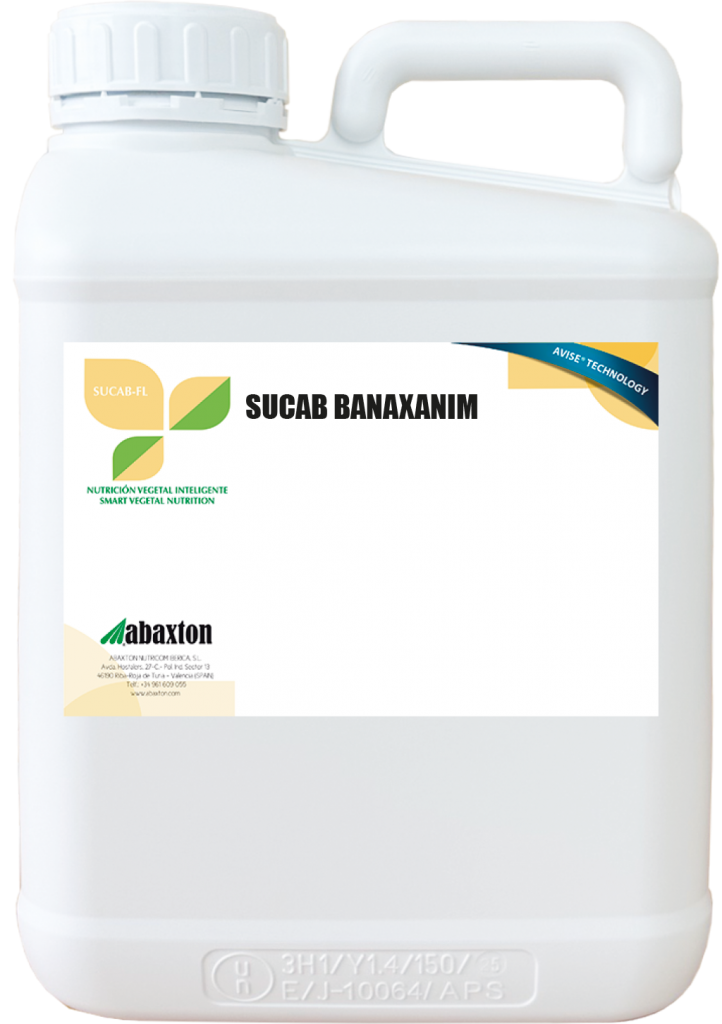 Sucab Banaxamin