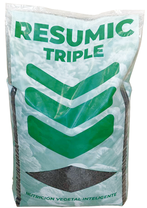 RESUMIC TRIPLE